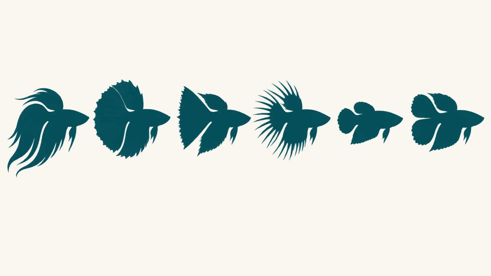 Silhouettes of six betta tail shapes arranged in a row, each labelled beneath