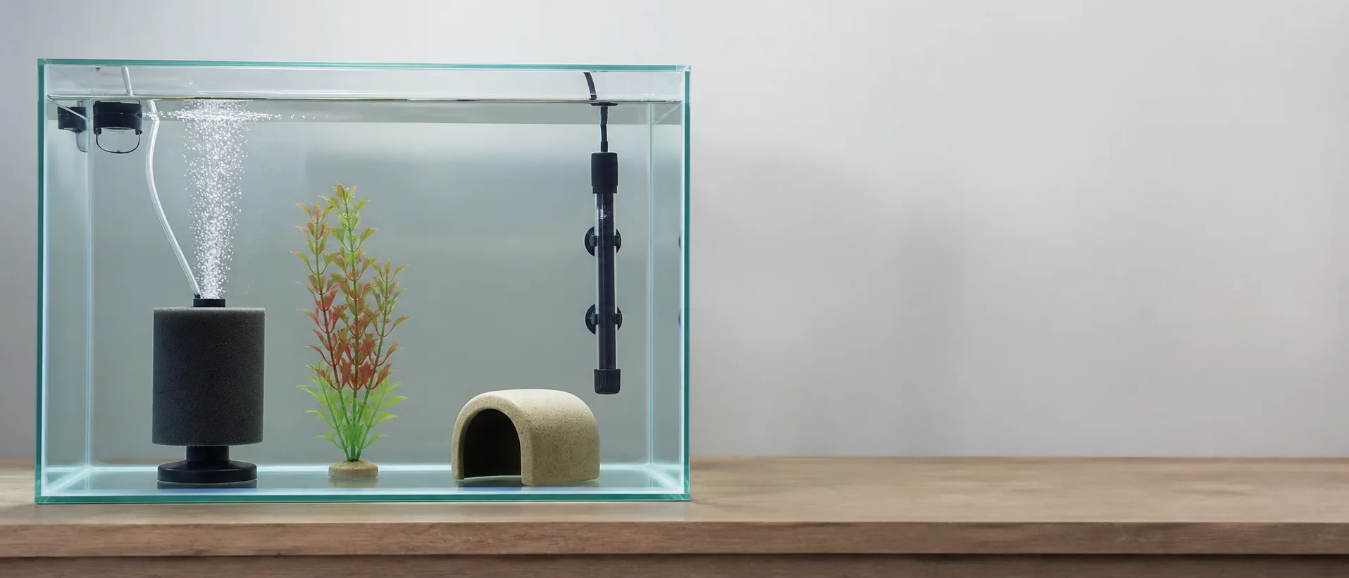 A bare-bottom quarantine aquarium with a sponge filter and heater, lit softly from above